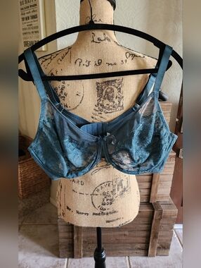 HSIA Lace Underwire Bra in Teal-NWOT